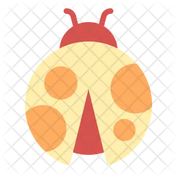 Lady bug  Icon