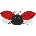 Lady Bug Bug Insect Icon