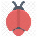 Lady Bug  アイコン