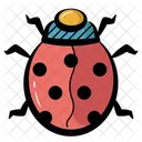 Lady Bug Bug Insect Icon