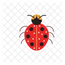 Lady Bugs  Icon