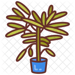 Lady palm  Icon