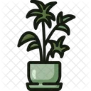 레이디 팜 나무 잎 꽃잎 아이콘