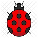 Ladybird Beetle Red Icon