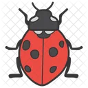 Bug Insect Ladybird Icon