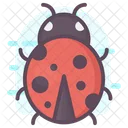 Ladybird Ladybug Bug Icon