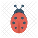 Ladybird Insect Bug Icon