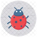 Bug Insect Ladybird Icon