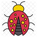 Ladybird Insect Bug Icon