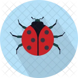 Ladybird  Icon