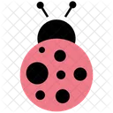 Ladybird Saint Patrick Insect Icon