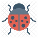 Ladybird Bee Insect Icon