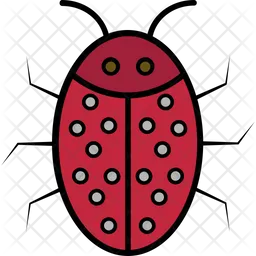 Ladybird  Icon