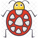 Ladybird  Icon