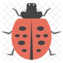 Ladybird Bug Insect Icon