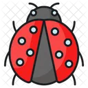 Ladybird Ladybug Coccinellidae Icon