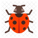 Ladybird Insect Bug Icon