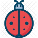 Ladybug Bug Spring Icon