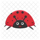 Animal Nature Bug Icon