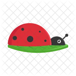 Ladybug  Icon