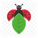 Animal Nature Bug Icon