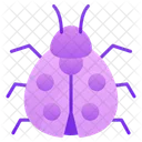 Ladybug Ladybird Beetle Icon