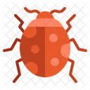 Insect Bug Animal Icon
