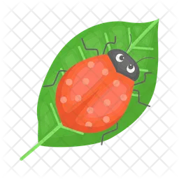 Ladybug  Icon