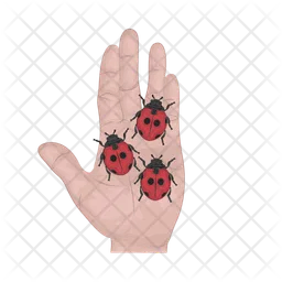 Ladybug  Icon