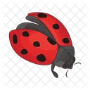 Ladybug Bug Animal Icon
