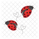 Ladybug Bug Animal Icon
