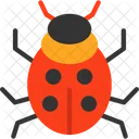 Ladybug Ladybird Insect Icon