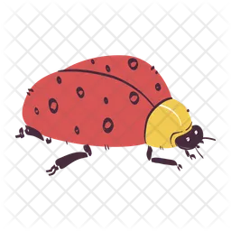 Ladybug  Icon