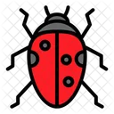 Ladybug  Icon