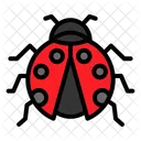 Ladybug  Icon