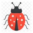 Insect Bug Beetle Icon