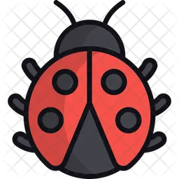 Ladybug  Icon