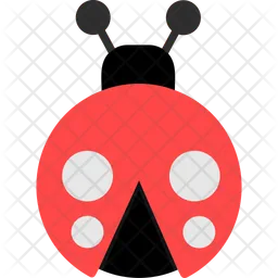 Ladybug  Icon