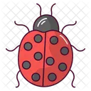 Ladybug Insect Bug Icon