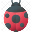 Ladybug Insect Bug Icon
