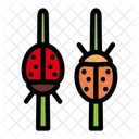 Ladybug Autumn Bug Icon