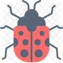 Ladybug Bug Beatle Icon