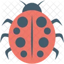 Ladybug Insect Animal Icon