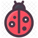 Ladybug  Icône