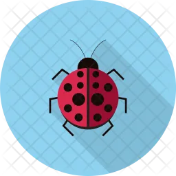 Ladybug  Icon