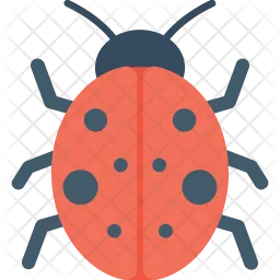 Ladybug  Icon