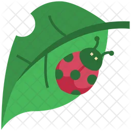 Ladybug  Icon