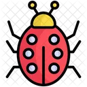 Ladybug  Icône