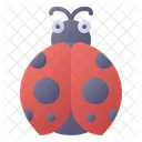 Ladybug Bug Insect Icon