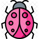 Ladybug Insect Bug Icon